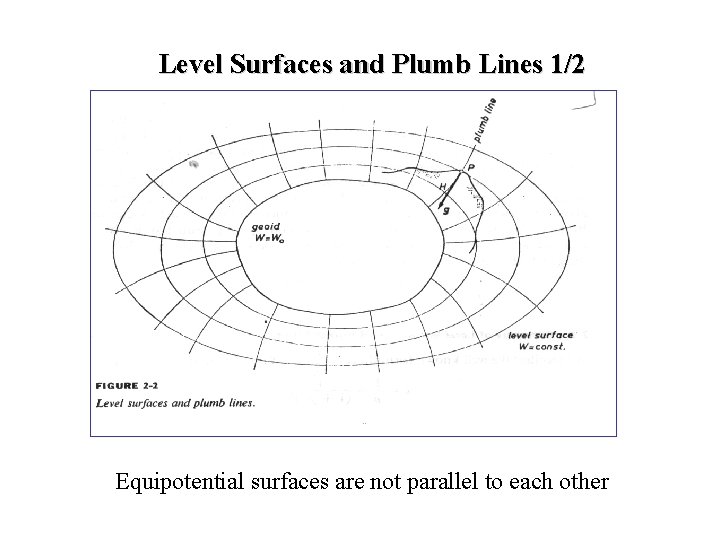 Level Surfaces and Plumb Lines 1/2 Equipotential surfaces are not parallel to each other