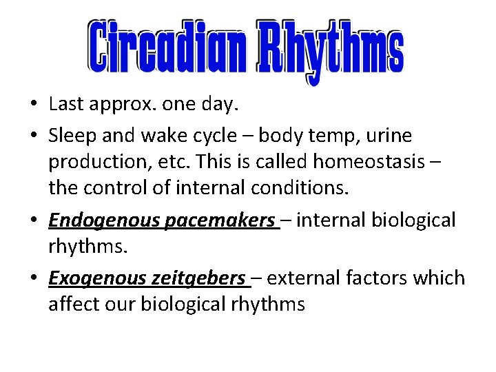  • Last approx. one day. • Sleep and wake cycle – body temp,