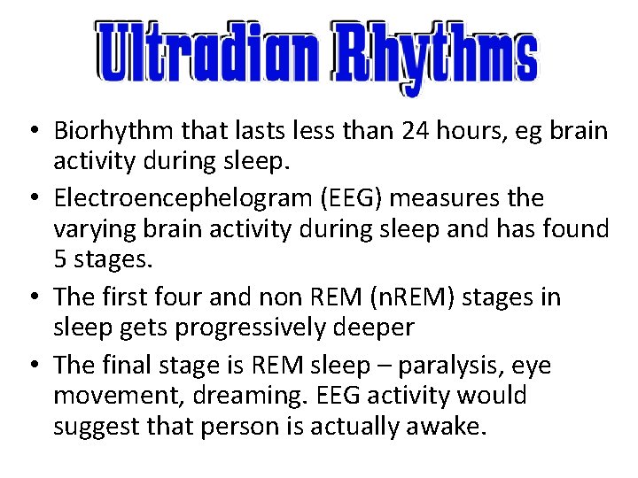  • Biorhythm that lasts less than 24 hours, eg brain activity during sleep.