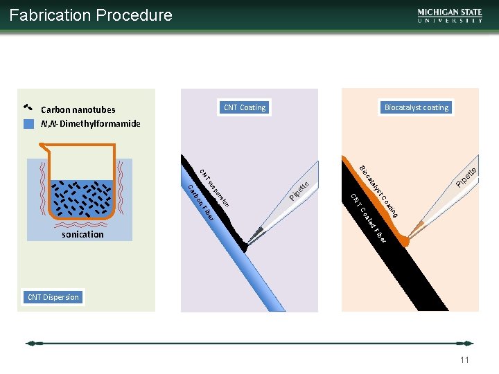 Fabrication Procedure CNT Coating Carbon nanotubes N, N-Dimethylformamide Biocatalyst coating pe Pi Pi pe