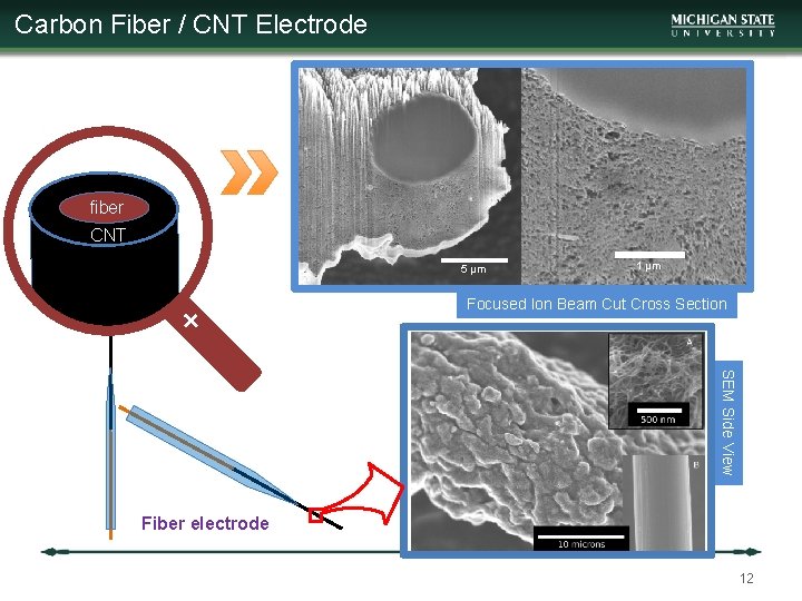 Carbon Fiber / CNT Electrode fiber CNT 5 μm 1 μm + Focused Ion