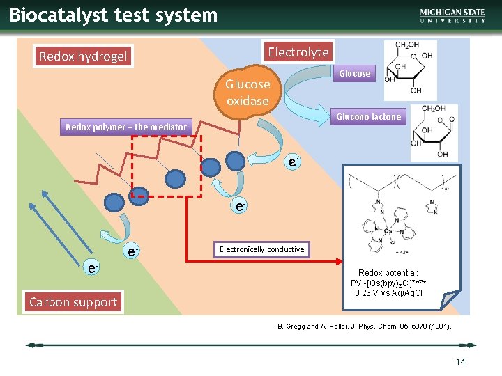 Biocatalyst test system Electrolyte Redox hydrogel Glucose oxidase Glucono lactone Redox polymer – the