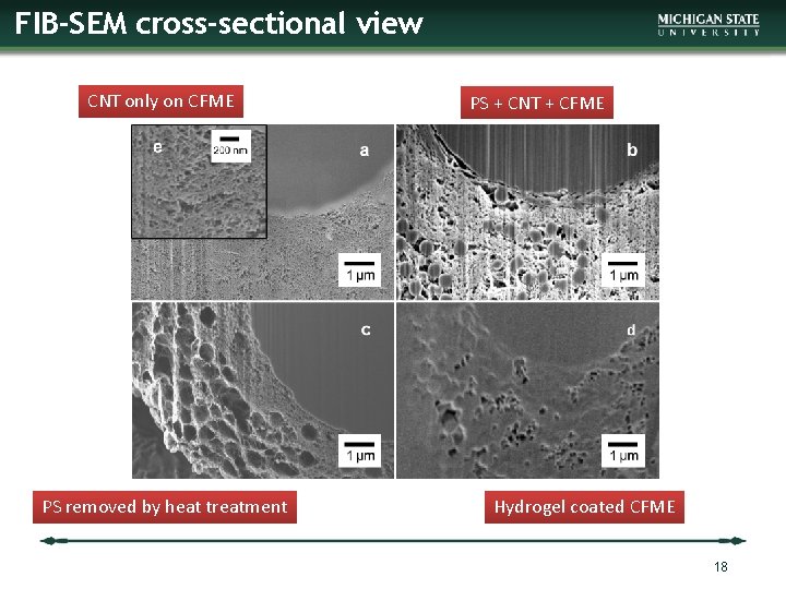 FIB-SEM cross-sectional view CNT only on CFME PS removed by heat treatment PS +