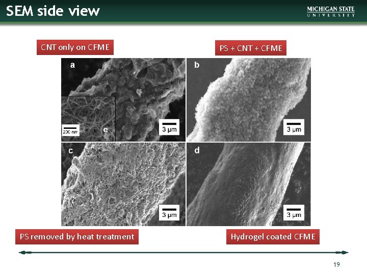 SEM side view CNT only on CFME PS removed by heat treatment PS +