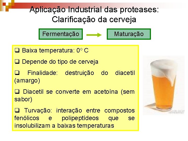 Aplicação Industrial das proteases: Clarificação da cerveja Fermentação Maturação q Baixa temperatura: 0 o