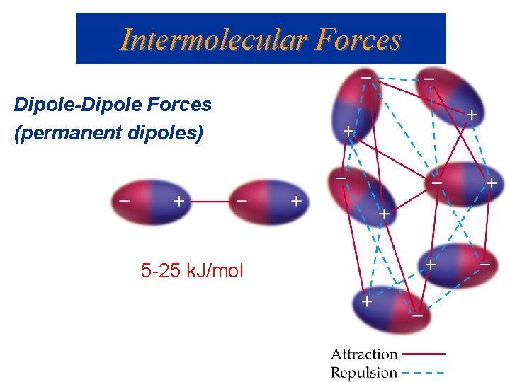 Intermolecular Forces Dipole-Dipole Forces (permanent dipoles) 5 -25 k. J/mol 