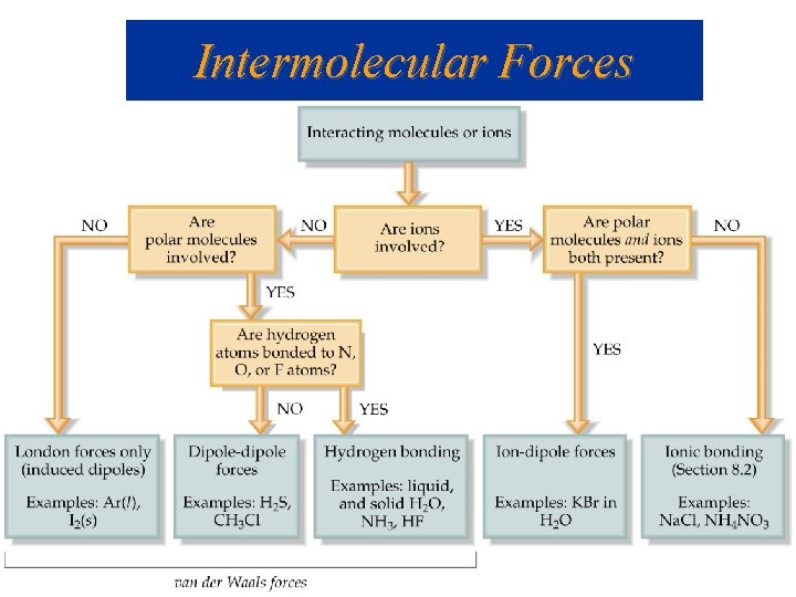 Intermolecular Forces 