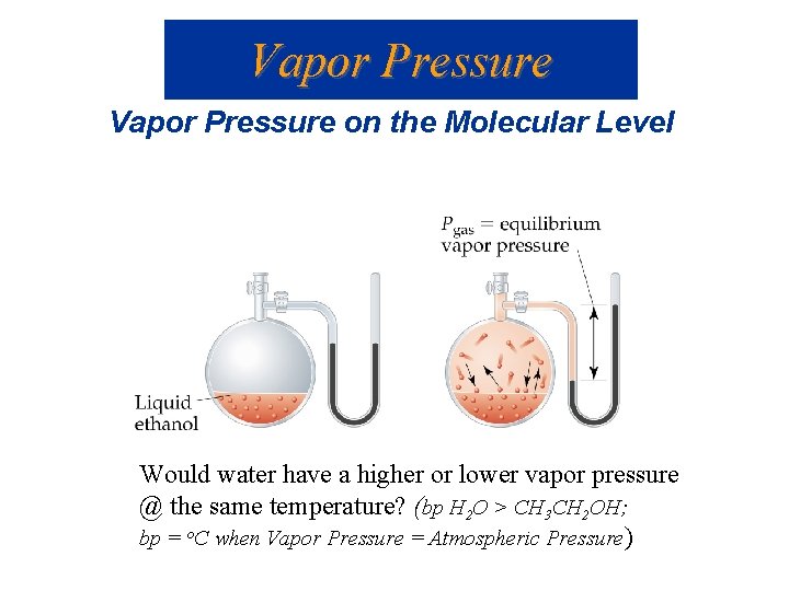 Vapor Pressure on the Molecular Level Would water have a higher or lower vapor