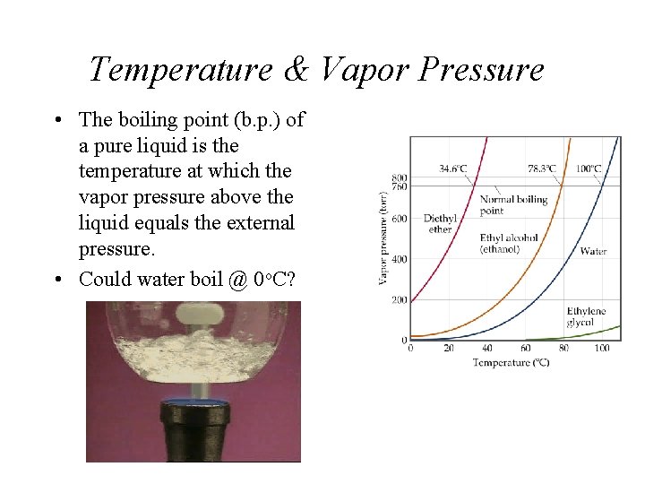 Temperature & Vapor Pressure • The boiling point (b. p. ) of a pure