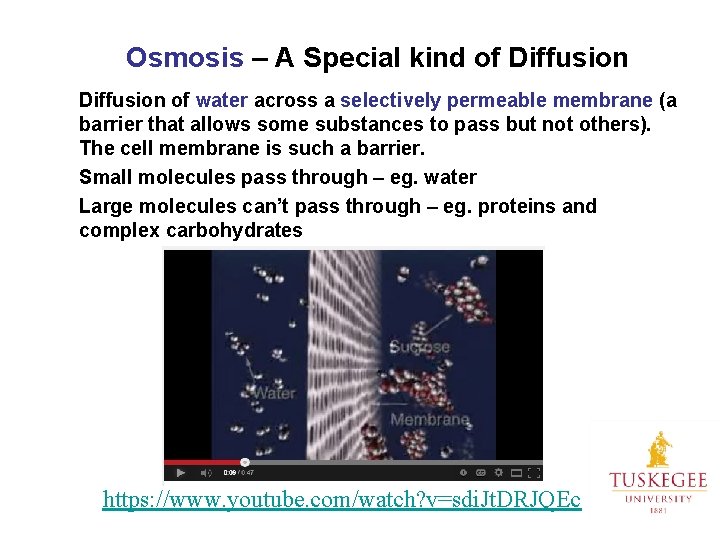 Osmosis – A Special kind of Diffusion of water across a selectively permeable membrane