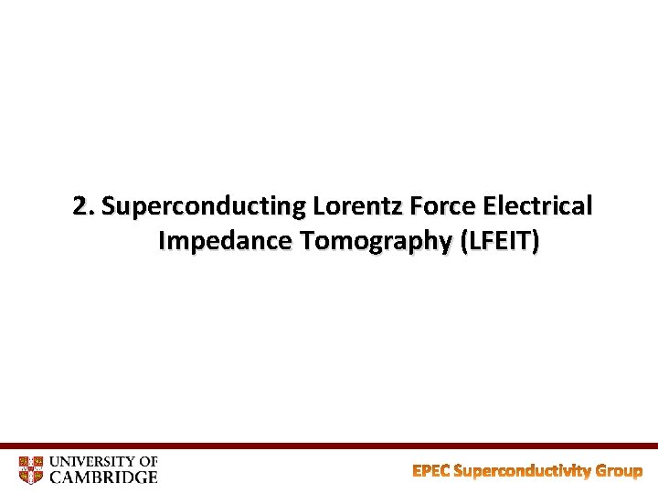 2. Superconducting Lorentz Force Electrical Impedance Tomography (LFEIT) 