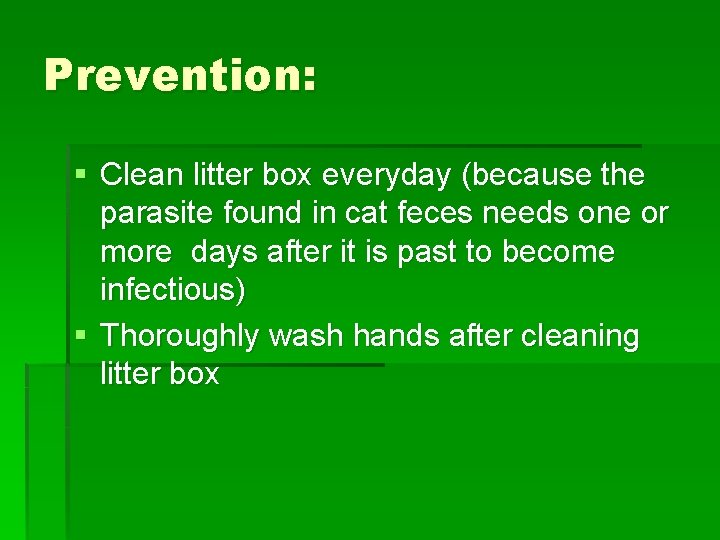 Prevention: § Clean litter box everyday (because the parasite found in cat feces needs