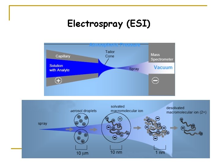 Electrospray (ESI) 