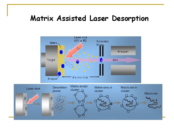 Matrix Assisted Laser Desorption 