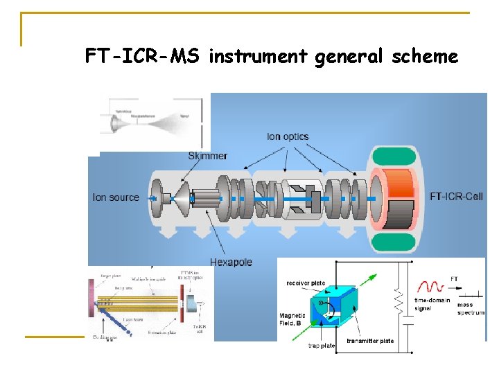 FT-ICR-MS instrument general scheme 
