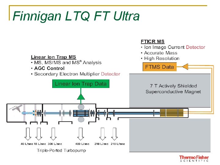 Finnigan LTQ FT Ultra 52 