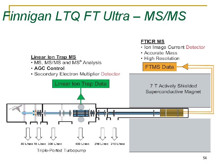 Finnigan LTQ FT Ultra – MS/MS 54 