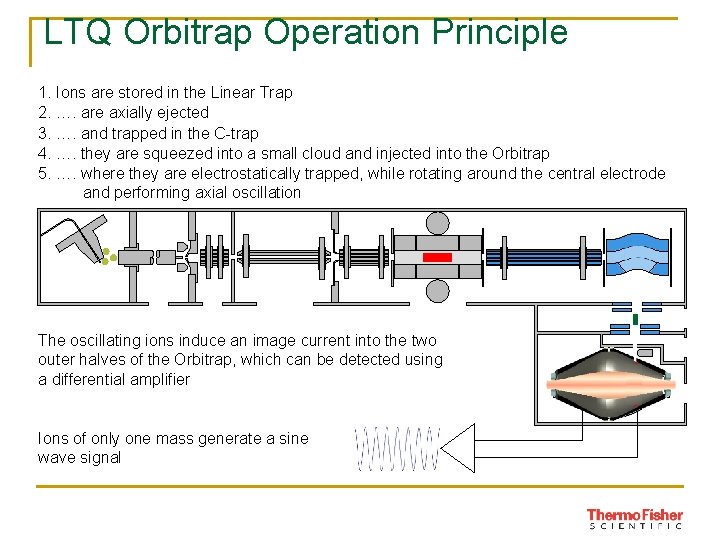 LTQ Orbitrap Operation Principle 1. Ions are stored in the Linear Trap 2. ….