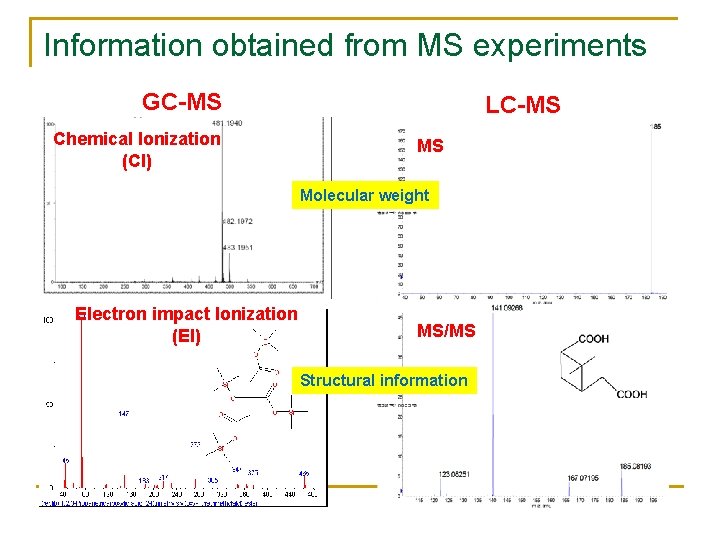 Information obtained from MS experiments GC-MS Chemical Ionization (CI) LC-MS MS Molecular weight Electron