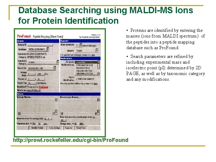Database Searching using MALDI-MS Ions for Protein Identification • Proteins are identified by entering