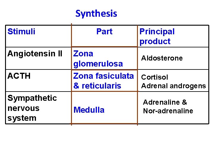 Synthesis Stimuli Angiotensin II ACTH Sympathetic nervous system Part Principal product Zona Aldosterone glomerulosa