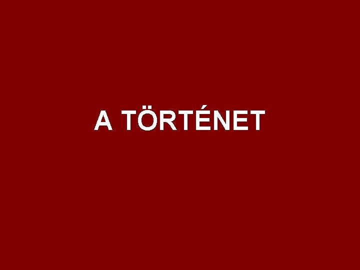 A TÖRTÉNET 