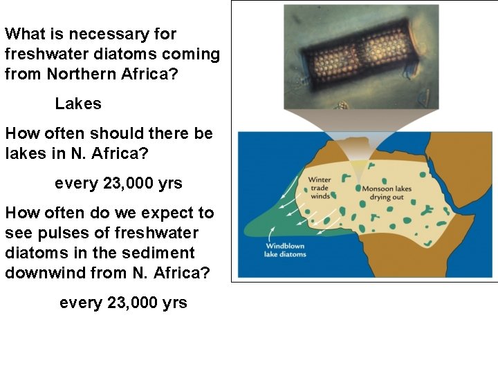 What is necessary for freshwater diatoms coming from Northern Africa? Lakes How often should