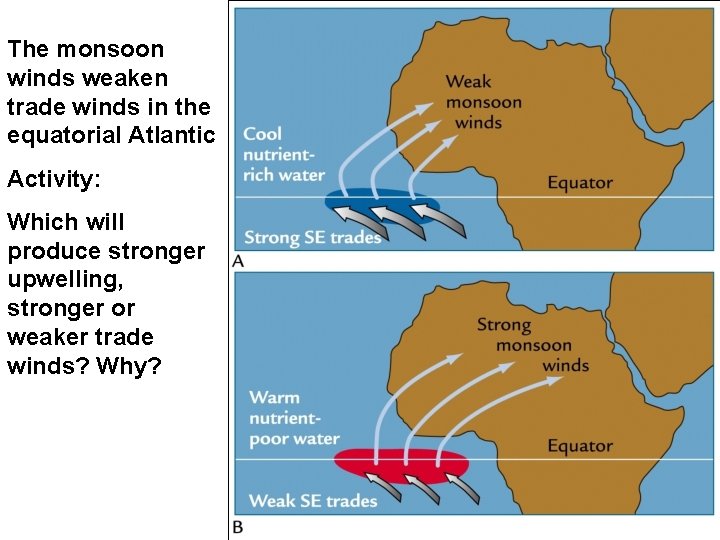 The monsoon winds weaken trade winds in the equatorial Atlantic Activity: Which will produce