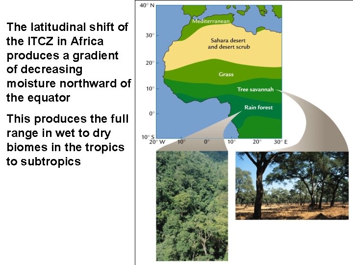 The latitudinal shift of the ITCZ in Africa produces a gradient of decreasing moisture