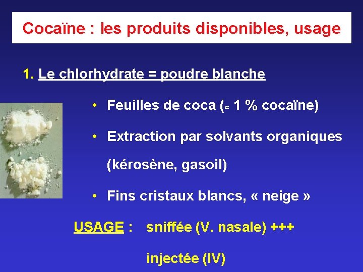 Cocaïne : les produits disponibles, usage 1. Le chlorhydrate = poudre blanche • Feuilles Cocaïne : les produits disponibles, usage 1. Le chlorhydrate = poudre blanche • Feuilles