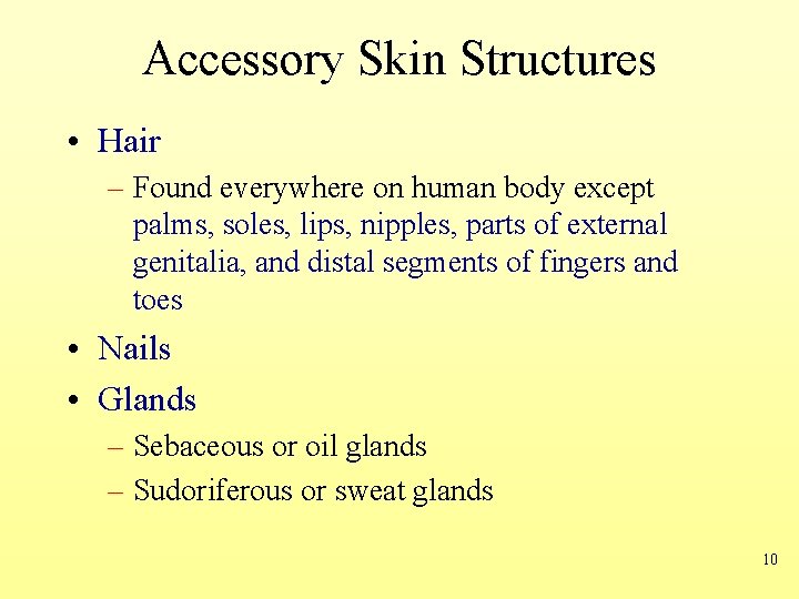 Accessory Skin Structures • Hair – Found everywhere on human body except palms, soles,