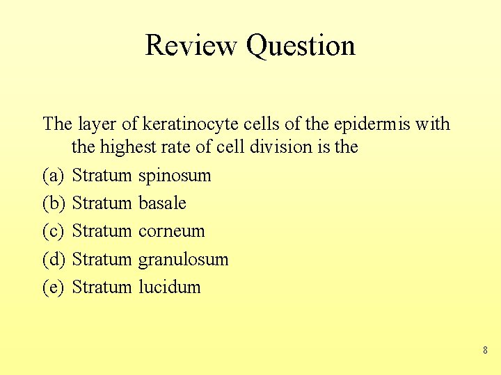 Review Question The layer of keratinocyte cells of the epidermis with the highest rate