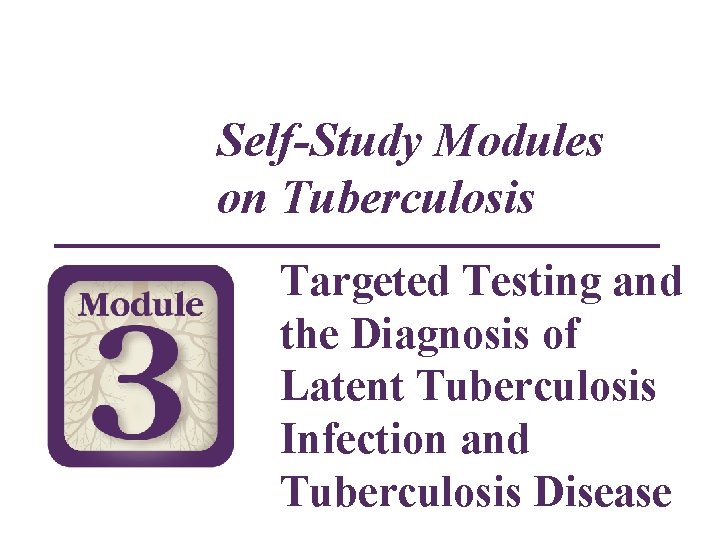 Self-Study Modules on Tuberculosis Targeted Testing and the Diagnosis of Latent Tuberculosis Infection and
