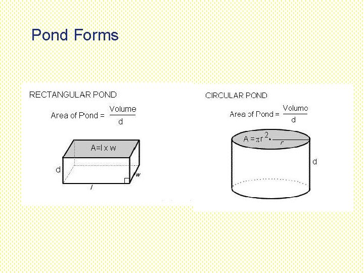 Pond Forms Pond Forms