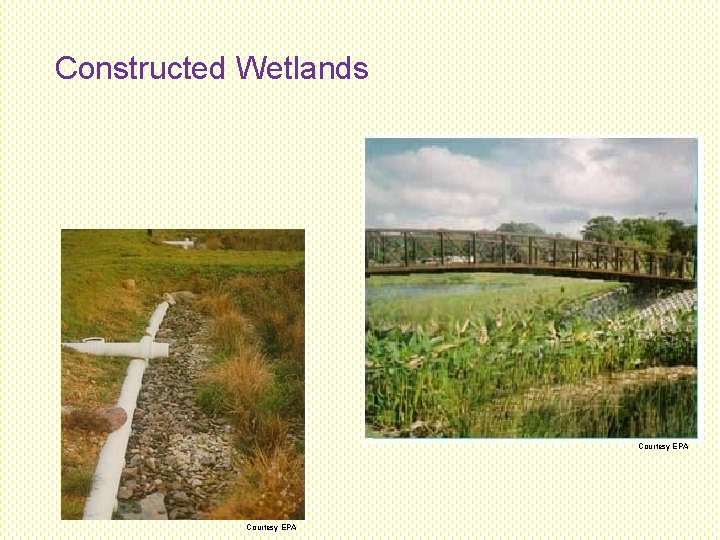 Constructed Wetlands Courtesy EPA Constructed Wetlands Courtesy EPA