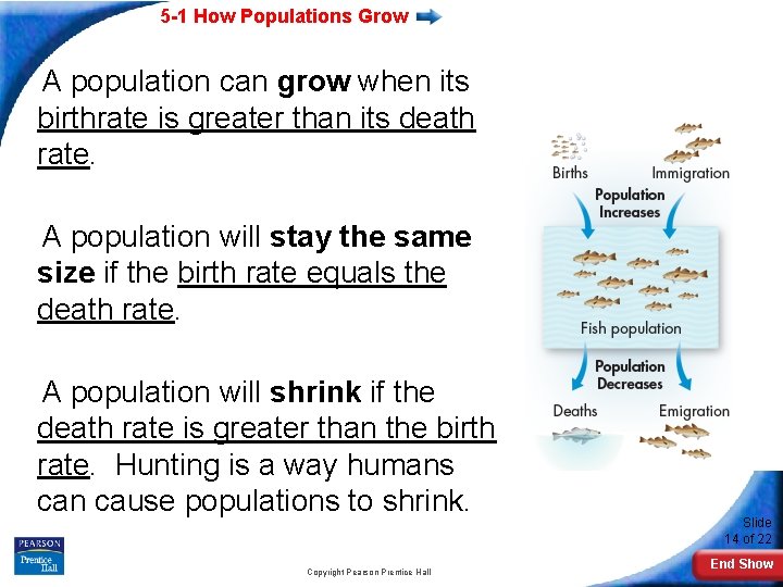 5 -1 How Populations Grow A population can grow when its birthrate is greater