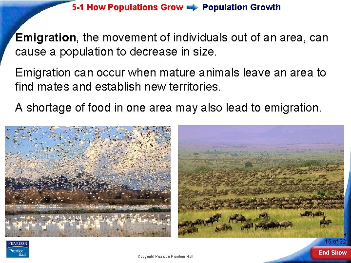 5 -1 How Populations Grow Population Growth Emigration, the movement of individuals out of