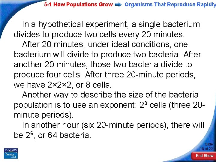 5 -1 How Populations Grow Organisms That Reproduce Rapidly In a hypothetical experiment, a