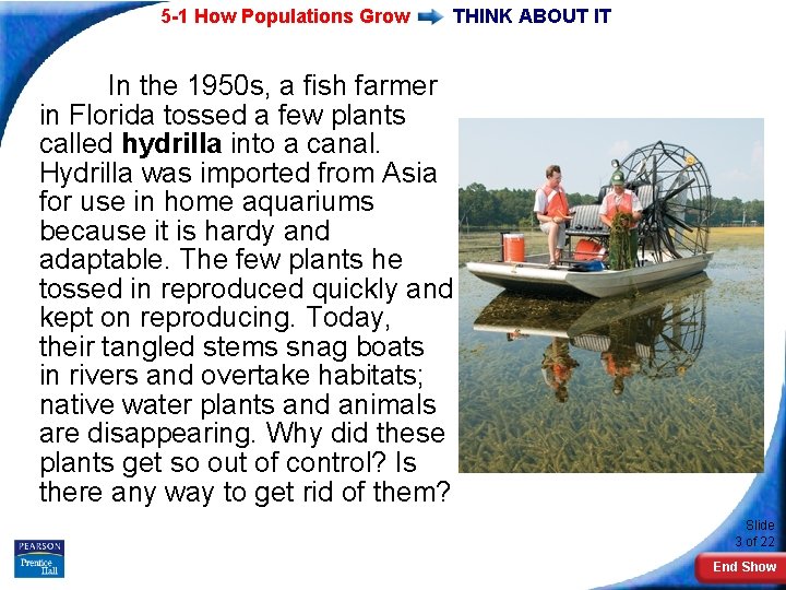5 -1 How Populations Grow THINK ABOUT IT In the 1950 s, a fish