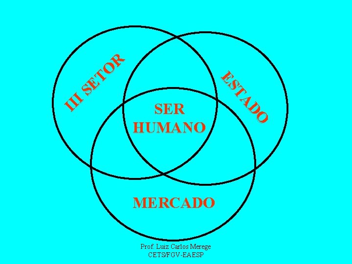 SER HUMANO MERCADO Prof. Luiz Carlos Merege CETS/FGV-EAESP DO TA ES R O T