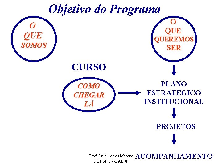 Objetivo do Programa O QUE QUEREMOS SOMOS SER CURSO PLANO ESTRATÉGICO INSTITUCIONAL COMO CHEGAR