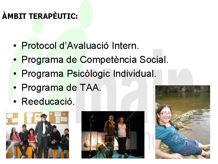 ÀMBIT TERAPÈUTIC: • • • Protocol d’Avaluació Intern. Programa de Competència Social. Programa Psicòlogic