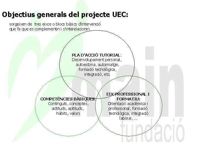 Objectius generals del projecte UEC: sorgeixen de tres eixos o blocs bàsics d’intervenció que