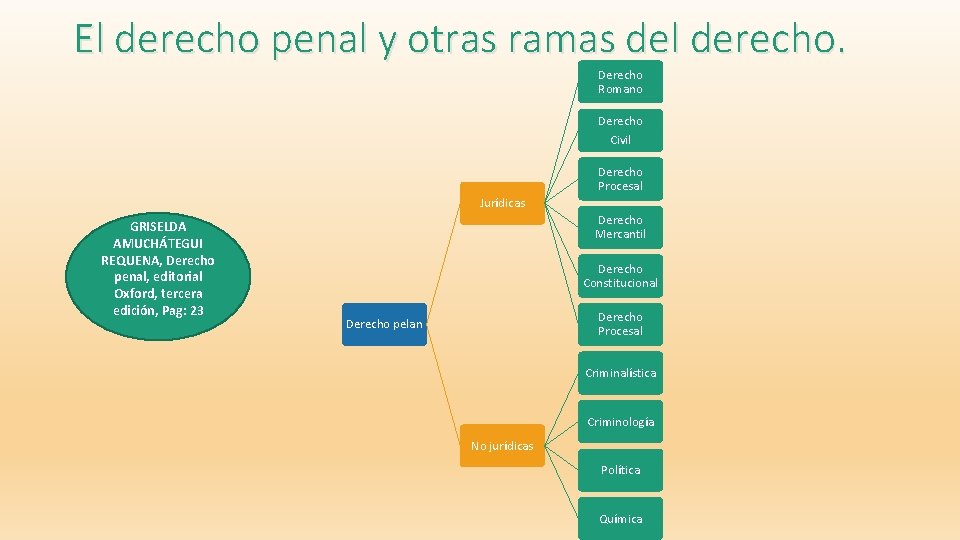 El derecho penal y otras ramas del derecho. Derecho Romano Derecho Civil Derecho Procesal