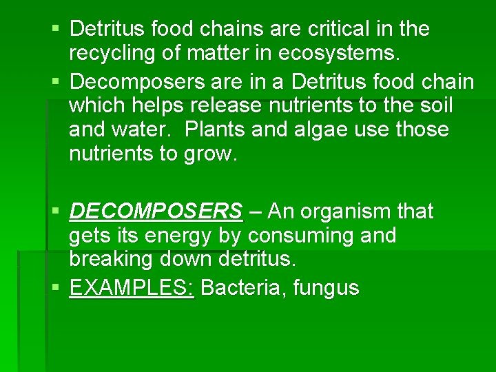 § Detritus food chains are critical in the recycling of matter in ecosystems. §