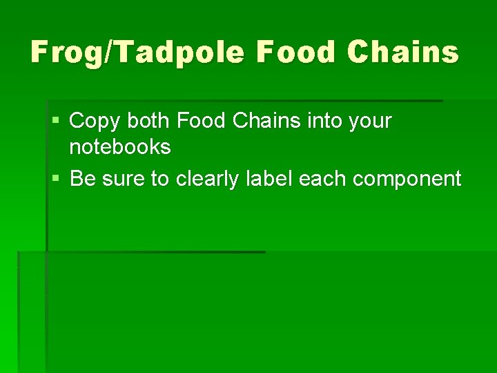 Frog/Tadpole Food Chains § Copy both Food Chains into your notebooks § Be sure