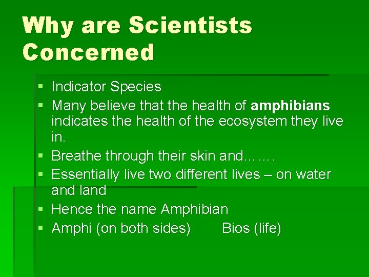 Why are Scientists Concerned § Indicator Species § Many believe that the health of