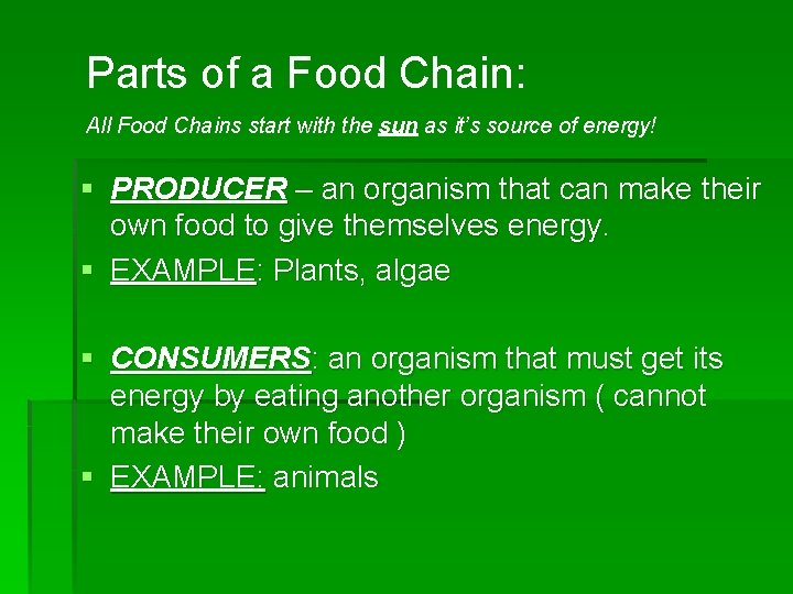 Parts of a Food Chain: All Food Chains start with the sun as it’s