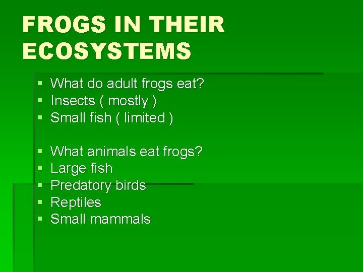 FROGS IN THEIR ECOSYSTEMS § § § What do adult frogs eat? Insects (