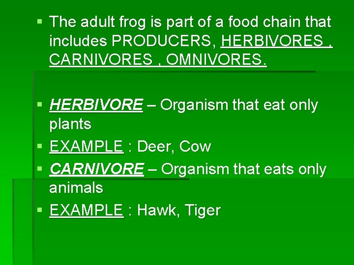 § The adult frog is part of a food chain that includes PRODUCERS, HERBIVORES